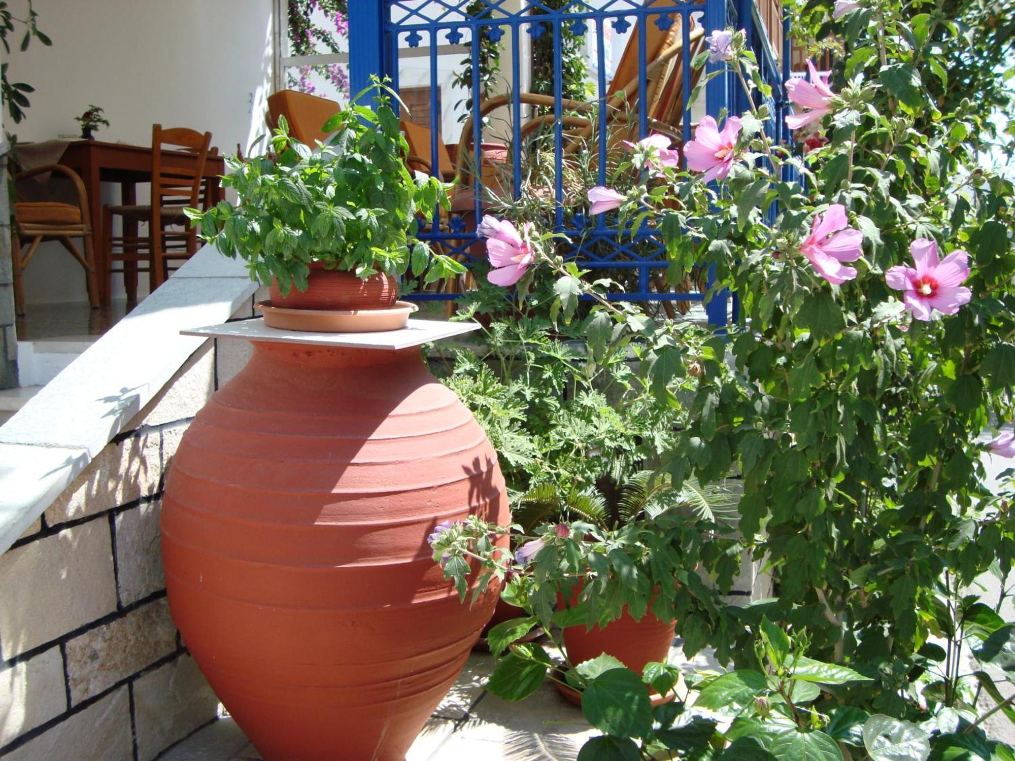 Hotel Vakhos Naxos City Exterior foto